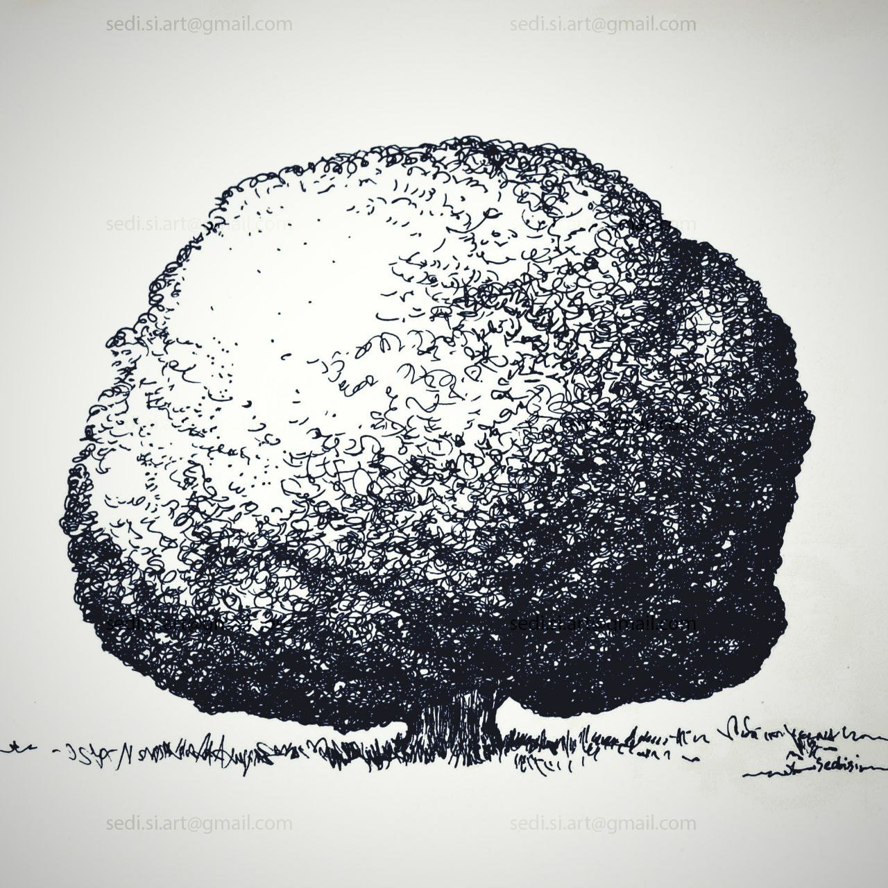 a drawing of a rounded tree