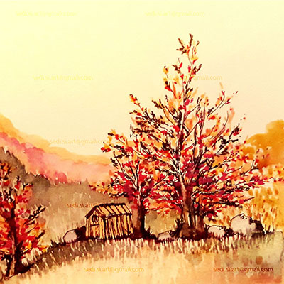 a tree in fall