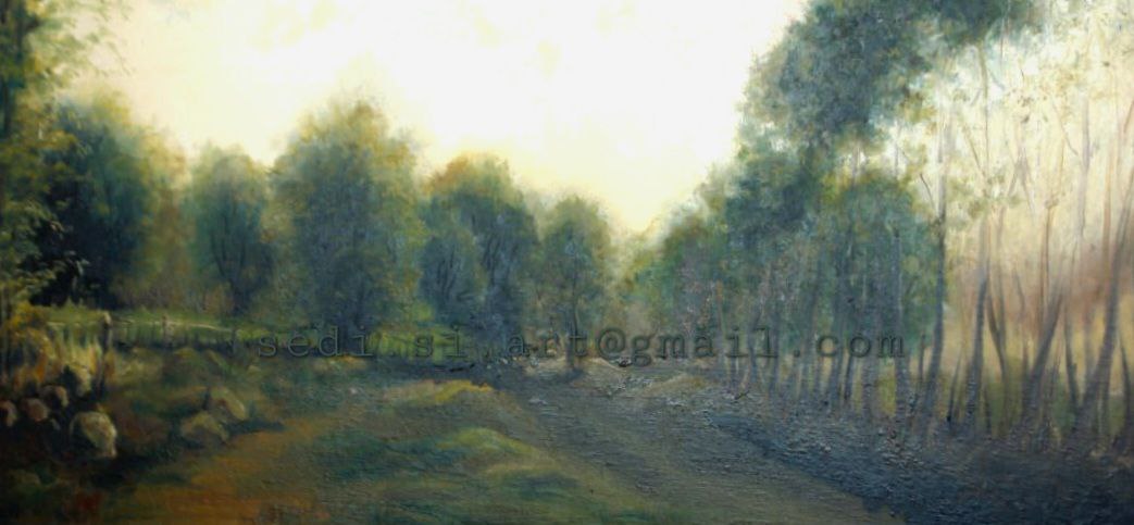 a beautiful scenery of trees